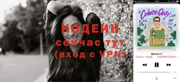 шишки Тутаев