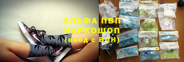 шишки Тутаев