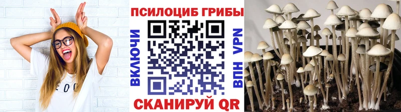 Купить закладки  Руза  Псилоцибиновые грибы ЛСД 